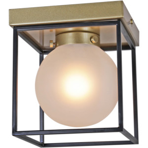 Потолочный светильник  IL0050-1C-79