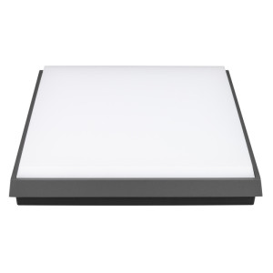 Потолочный светильник уличный AREA 029953