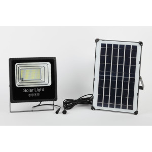 Прожектор уличный  ERAPRO-100