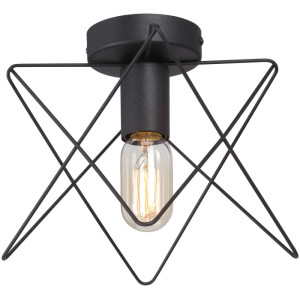 Потолочный светильник  V4721-1/1PL